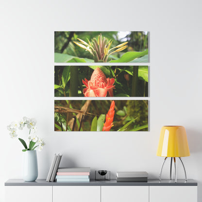 Deep Forest Explorations - Rare Flowers of El Yunque RainForest  - Nikon D850 - Tropical Mountains Triptych Acrylic Print – Panoramic Jungle & Ocean Wall Art