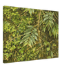 50823c63-eca7-494d-99a6-0c9a7edec2ab