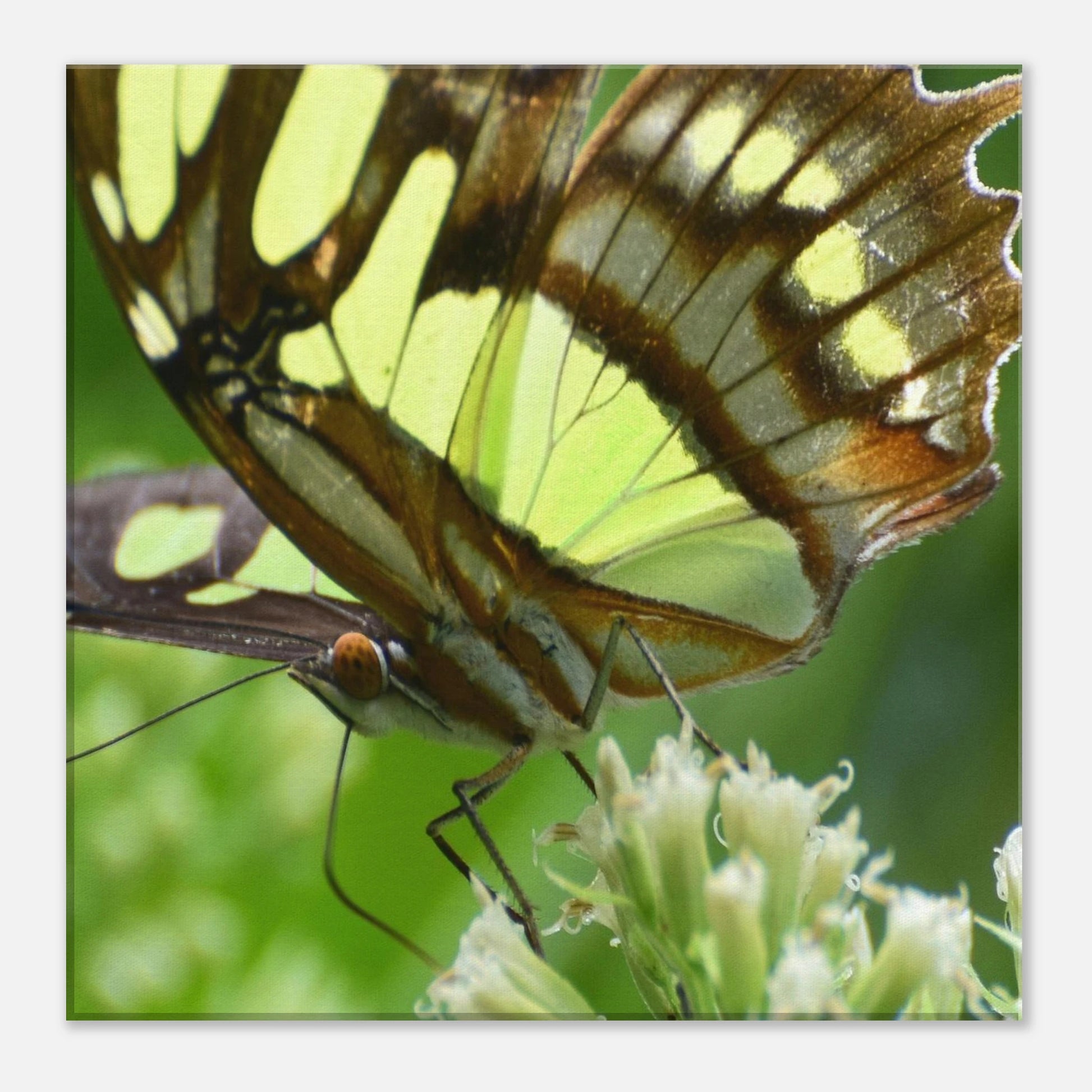 510a923d-e8e1-4453-b753-deeb9401e704