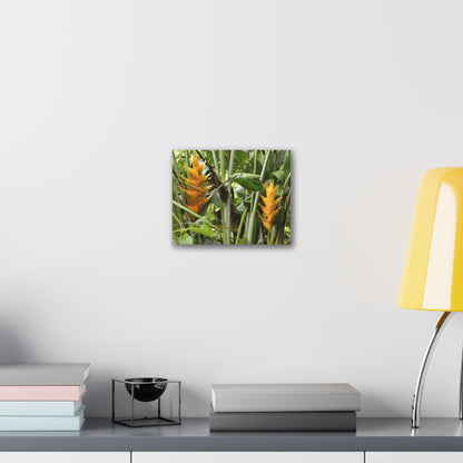 Tropical Heliconia Canvas Print — El Yunque rainforest - Vibrant Jungle Wall Art