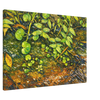 516a5006-67f7-4a96-afe3-19b4ccf95506