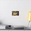 Tradewinds Trail - Fallen Colorful Leaf - Matte Canvas Print — Stretched Wall Art - El Yunque Rainforest - Puerto Rico - Deep forest explorations