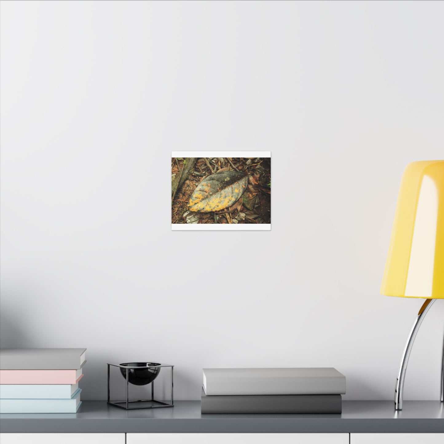 Tradewinds Trail - Fallen Colorful Leaf - Matte Canvas Print — Stretched Wall Art - El Yunque Rainforest - Puerto Rico - Deep forest explorations