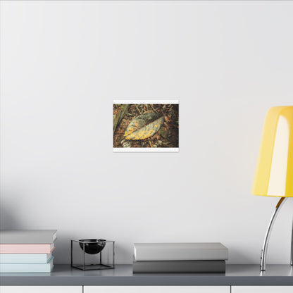 Tradewinds Trail - Fallen Colorful Leaf - Matte Canvas Print — Stretched Wall Art - El Yunque Rainforest - Puerto Rico - Deep forest explorations