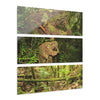 El Yunque Rainforest - Truly Weird Rotting Trees of the Deep Forest - Nikon D850 - Triptych Acrylic Print – Forest Creek Landscape Wall Art