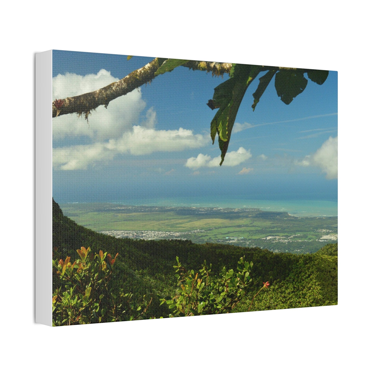 Tropical Vista Canvas Print —Awesome view from Tres Picachos Peak -  Stretched 1.5" Wall Art