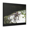 Rainforest Trails & Views - Gallery Canvas Wraps, Horizontal Frame - El Yunque National Forest - Puerto Rico - Lizard in readyness - Green Forest Home