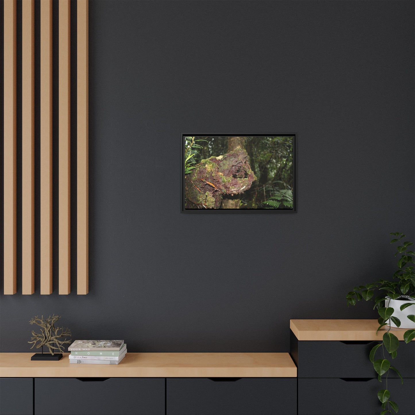 Framed Matte Canvas Wall Art — Tropical Rainforest Roots Photography - Not a nice image - a slowly decomposing red Tree (very hard wood) in Tradewinds trail