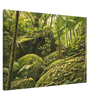 52a5dbeb-d4fb-4583-ada8-6e7fcec6f3b2