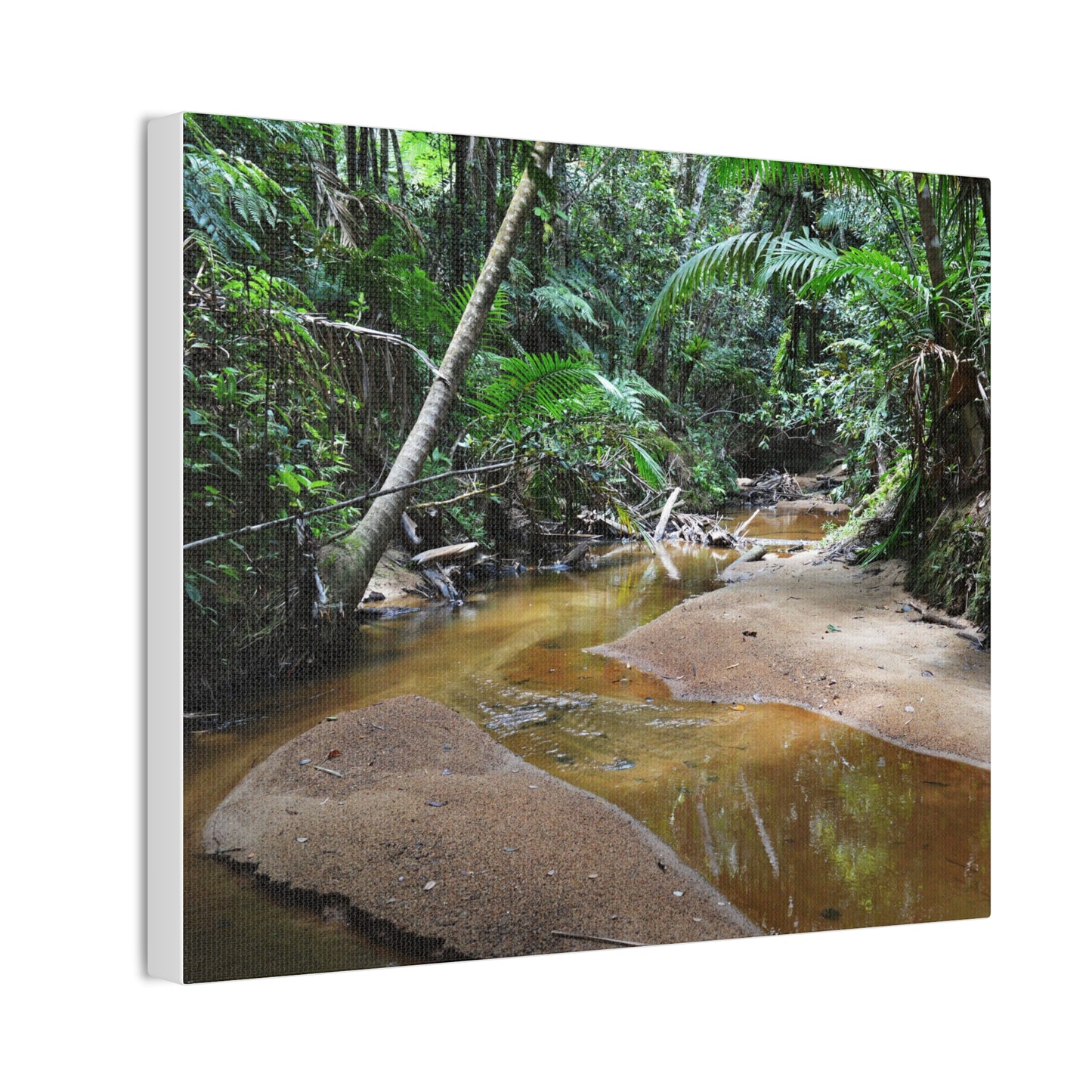 Deep Forest Explorations - El Yunque Holy Spirit River - Nikon D850 - Tropical Creek Canvas Print — Lush Rainforest River Wall Art