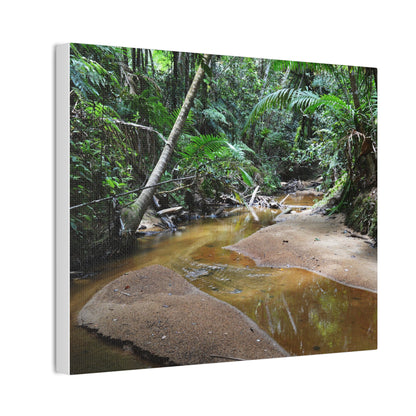 Deep Forest Explorations - El Yunque Holy Spirit River - Nikon D850 - Tropical Creek Canvas Print — Lush Rainforest River Wall Art
