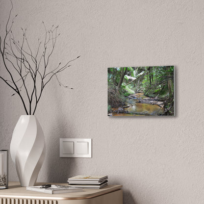 Deep Forest Explorations - El Yunque Holy Spirit River - Nikon D850 - Tropical Creek Canvas Print —  Jungle Stream Wall Art for Nature Lovers