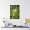 Tropical Waterfall Acrylic Print — The famous La Coca Falls -  El Yunque RainForest  - Glossy French-Cleat Wall Art