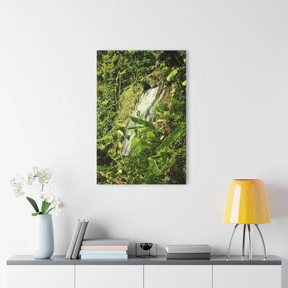 Tropical Waterfall Acrylic Print — The famous La Coca Falls -  El Yunque RainForest  - Glossy French-Cleat Wall Art