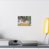 Rust-Tinged Creek Canvas Print — Natural Stream Landscape Wall Art - Tributary with decomposing matter orange color -  Deep forest explorations