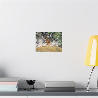 Rust-Tinged Creek Canvas Print — Natural Stream Landscape Wall Art - Tributary with decomposing matter orange color -  Deep forest explorations