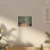 Matte Canvas Print — Tropical Forest Creek Wall Art (Stretched) - El Yunque Rainforest - Puerto Rico - Deep forest explorations