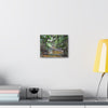 Deep Forest Explorations - El Yunque Holy Spirit River - Nikon D850 - Tropical Creek Canvas Print —  Jungle Stream Wall Art for Nature Lovers