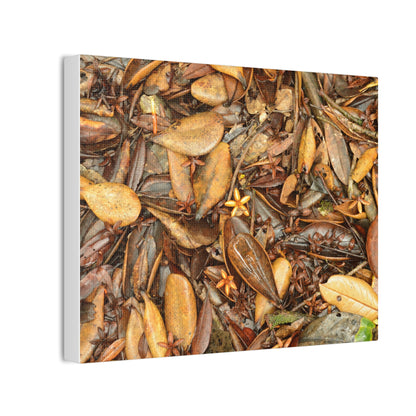 Autumn Leaf Floor Canvas Print — Deep Forest Explorations - El Yunque - Nikon D850 Stretched Wall Art (0.75")