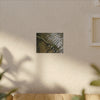 Rippling Stream Canvas Wall Art — Tranquil Forest Water Photography - Fallen sierra palm - Rio Sabana - El Yunque Rainforest - Puerto Rico - Deep forest explorations