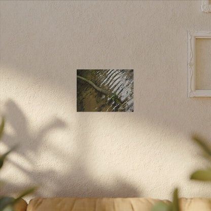 Rippling Stream Canvas Wall Art — Tranquil Forest Water Photography - Fallen sierra palm - Rio Sabana - El Yunque Rainforest - Puerto Rico - Deep forest explorations