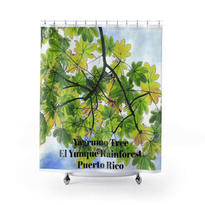 Yagrumo Tree - El Yunque - PUERTO RICO - Shower Curtain — Coastal Bathroom Decor - Nikon image