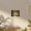 Autumn Leaf Reflection Matte Canvas Wall Art — Nature Forest Stream Print - Yagrumo leaf in middle of many decomposing leafs - Amazing symmetry - Tradewinds trail