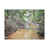 Matte Canvas Print — Tropical Forest Creek Wall Art (Stretched) - El Yunque Rainforest - Puerto Rico - Deep forest explorations