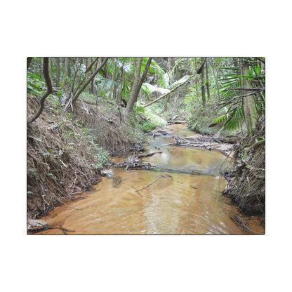 Matte Canvas Print — Tropical Forest Creek Wall Art (Stretched) - El Yunque Rainforest - Puerto Rico - Deep forest explorations