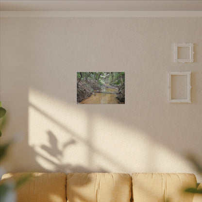 Matte Canvas Print — Tropical Forest Creek Wall Art (Stretched) - El Yunque Rainforest - Puerto Rico - Deep forest explorations