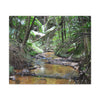 Deep Forest Explorations - El Yunque Holy Spirit River - Nikon D850 - Tropical Creek Canvas Print —  Jungle Stream Wall Art for Nature Lovers