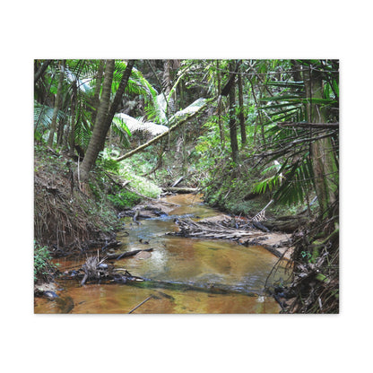 Deep Forest Explorations - El Yunque Holy Spirit River - Nikon D850 - Tropical Creek Canvas Print —  Jungle Stream Wall Art for Nature Lovers