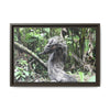 Tropical Vista Matte Canvas Framed Wall Art - Forest explorations - Deep in Sabana River Unusual Tree formations ??? -  El Yunque rainforest PR