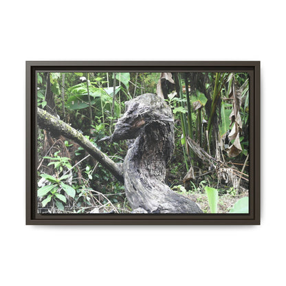 Tropical Vista Matte Canvas Framed Wall Art - Forest explorations - Deep in Sabana River Unusual Tree formations ??? -  El Yunque rainforest PR