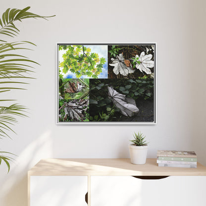 Tropical Vista Matte Canvas Framed Wall Art - Forest explorations - Deep in El Yunque rainforest PR - Mosaic#2 of the Unique Yagrumo Tree Leafs