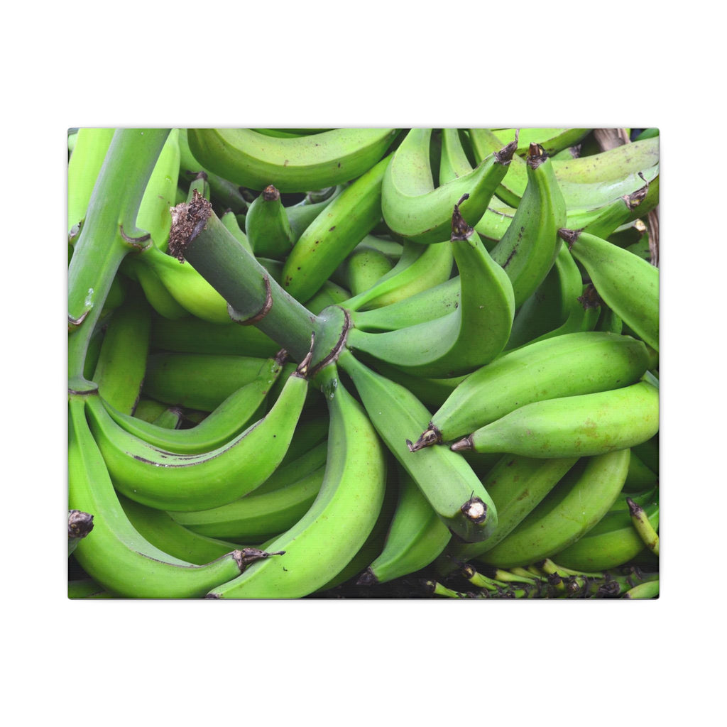 Green Banana Bunch Matte Canvas Wall Art — Tropical Kitchen Decor - Platanos in Puerto Rico - ready for cooking - for tostones etc.
