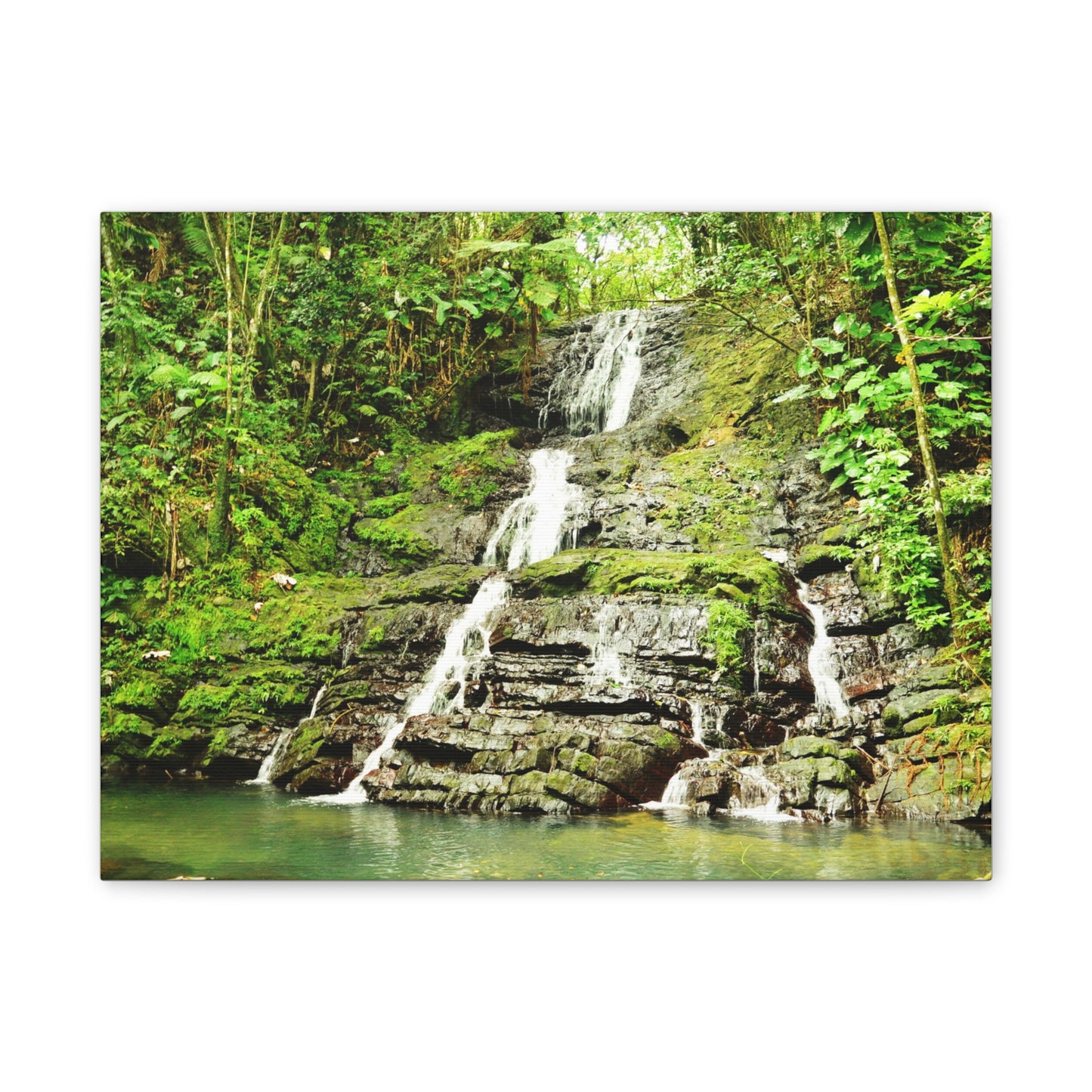 Tropical Waterfall Canvas Wall Art — Lush Jungle Landscape Print