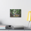 Deep Forest Explorations - El Yunque Holy Spirit River - Nikon D850 - Tropical Creek Canvas Print —  Jungle Stream Wall Art for Nature Lovers