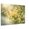 5b2dacfd-6e71-4f10-92da-d8556e142ee5