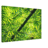 5bbd100e-ba13-4b90-a8da-2b01b52c7188