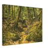 5e11f411-c71a-46cd-b1b4-001435c97dc8