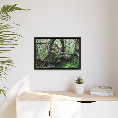 Framed Matte Canvas Wall Art — Tropical Rainforest Roots Photography - The dance of trees - a tree jumble where they hold each other - Nikon