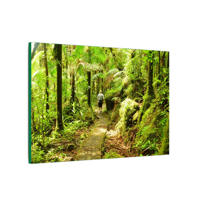 Forest Trail Matte Canvas Print – Lush Green Nature Wall Art - Hiker enjoys the BEAUTY - Mt Britton Trail - El Yunque Rainforest - Puerto Rico