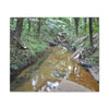 Deep Forest Explorations - El Yunque Holy Spirit River - Nikon D850 - Forest Creek Canvas Print - Stretched 0.75" Nature Wall Art