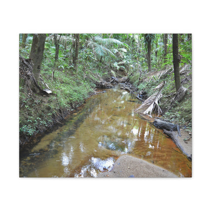Deep Forest Explorations - El Yunque Holy Spirit River - Nikon D850 - Forest Creek Canvas Print - Stretched 0.75" Nature Wall Art