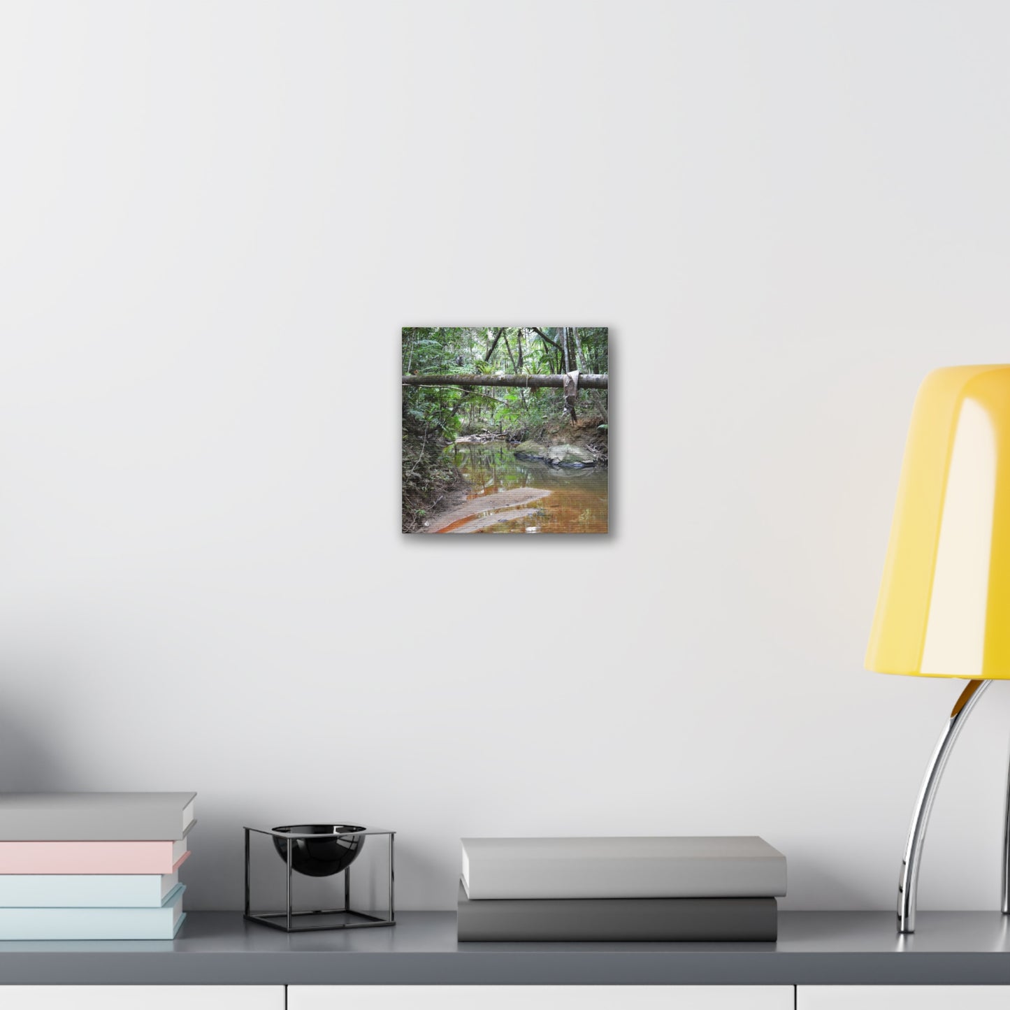 Deep Forest Explorations - El Yunque Holy Spirit River - Nikon D850 - Rainforest Creek Canvas Print — Tropical Jungle Stream Wall Art