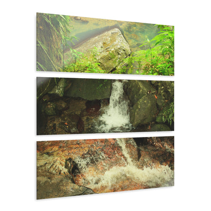 El Yunque La Mina River and water evrywhere - Nikon D850 - Triptych Acrylic Print – Forest Creek Landscape Wall Art