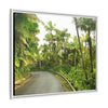 Tropical Vista Matte Canvas Framed Wall Art — Lush Mountain road the PR 191 High forest - El Yunque rainforest PR