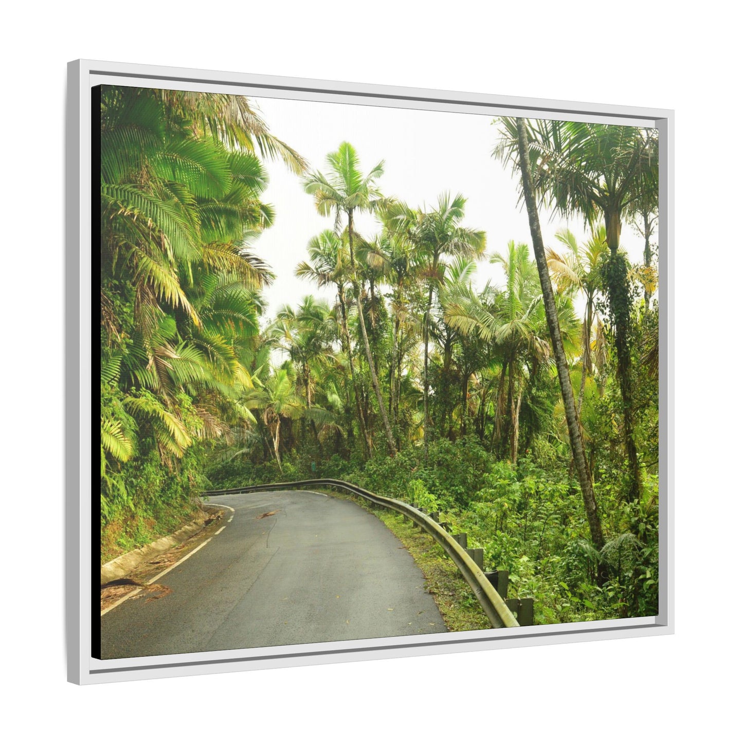 Tropical Vista Matte Canvas Framed Wall Art — Lush Mountain road the PR 191 High forest - El Yunque rainforest PR