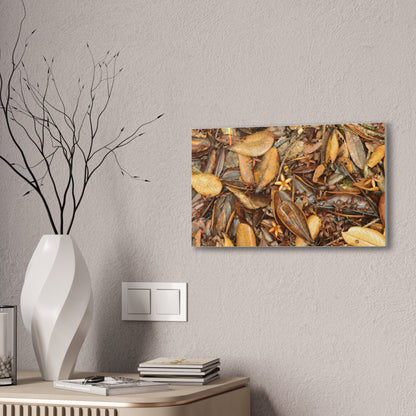 Autumn Leaf Floor Canvas Print — Deep Forest Explorations - El Yunque - Nikon D850 Stretched Wall Art (0.75")
